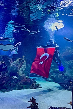 Su Altı Bayrak Açma Gösterileri